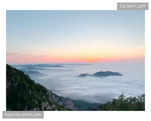 山东泰山重返巅峰之路：能否在竞争格局中实现突破